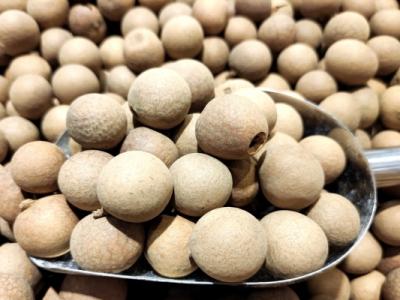 桂圓肉的功效與作用、禁忌和食用方法