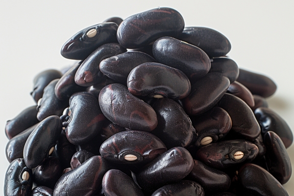 痛風能不能吃黑豆-易網健康<a href=http://www.xllyou.com/jkys/ target=_blank class=infotextkey>養生</a>網 痛風能不能吃黑豆