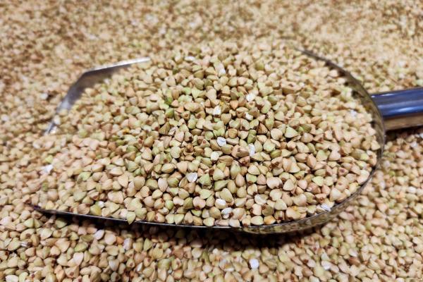 蕎麥茶的功效與作用、禁忌和食用方法