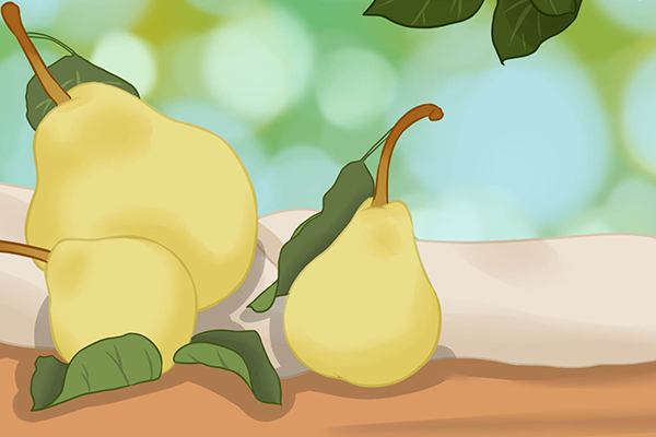 香梨的功效與作用、禁忌和食用方法