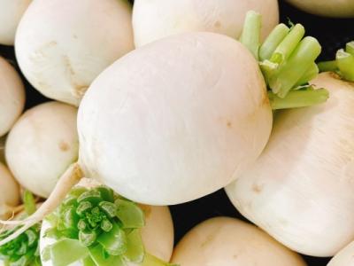 白蘿卜的功效與作用、禁忌和食用方法