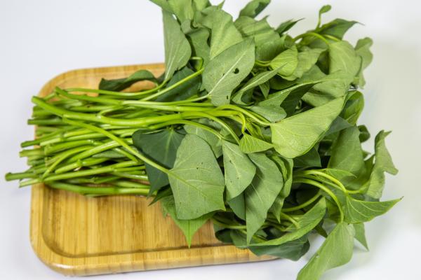 紅薯葉的功效與作用、禁忌和食用方法