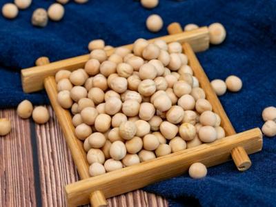 黃豆醬的功效與作用、禁忌和食用方法