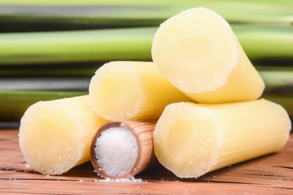 減肥期間能吃甘蔗嗎-易網健康<a href=http://www.xllyou.com/jkys/ target=_blank class=infotextkey>養生</a>網 減肥期間能吃甘蔗嗎