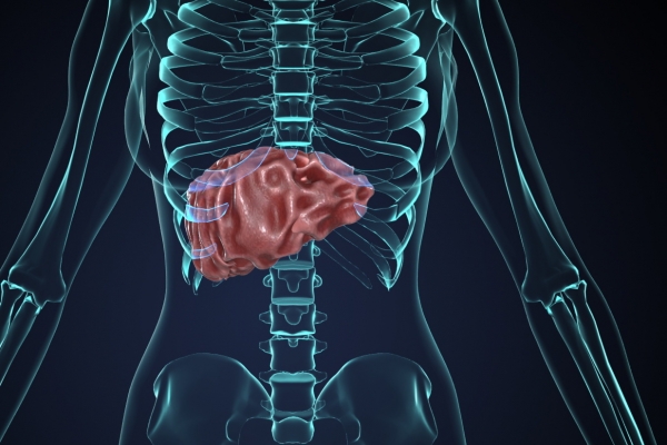 肝硬化能吃羊肉嗎-易網(wǎng)<a href=http://www.xllyou.com/ target=_blank class=infotextkey>健康養(yǎng)生</a>網(wǎng) 肝硬化能吃羊肉嗎