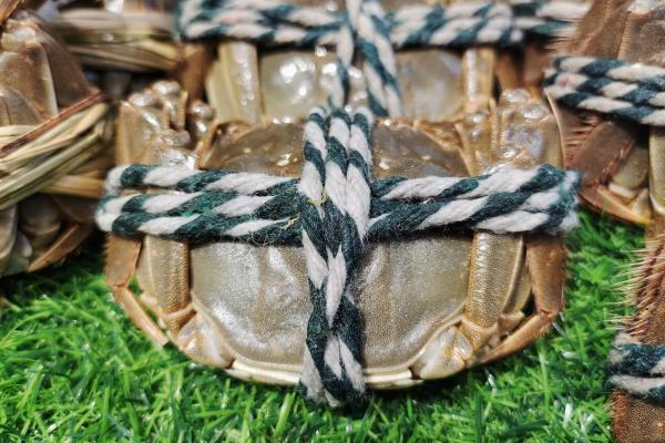 大閘蟹可以和羊肉一起吃嗎