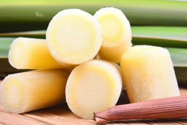 甘蔗是不是水果-易網(wǎng)健康<a href=http://www.xllyou.com/jkys/ target=_blank class=infotextkey>養(yǎng)生</a>網(wǎng) 甘蔗是不是水果