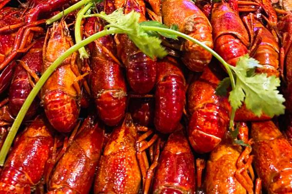 龍蝦的功效與作用、禁忌和食用方法