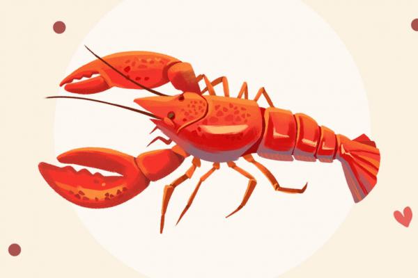 龍蝦的功效與作用、禁忌和食用方法