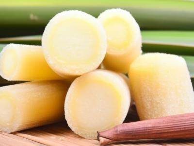 甘蔗是不是水果