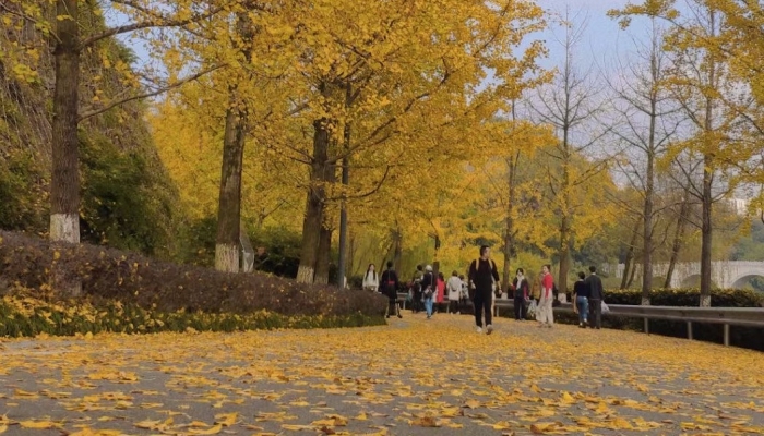 白露節氣物候有哪些特點 白露節氣的物候特點-易網健康<a href=http://www.xllyou.com/jkys/ target=_blank class=infotextkey>養生</a>網 白露節氣物候有哪些特點 白露節氣的物候特點