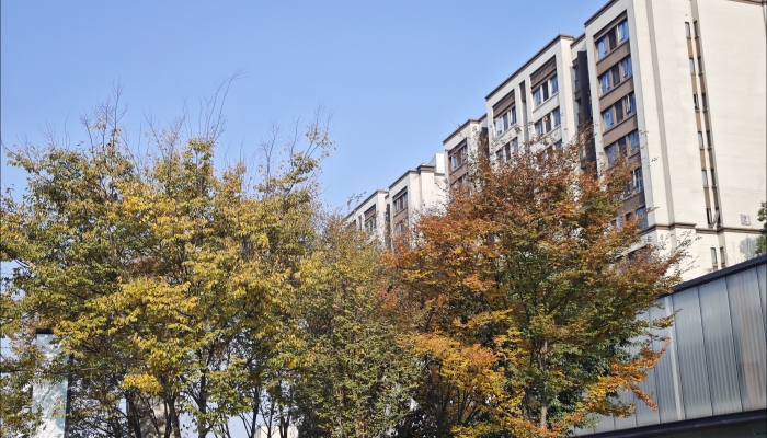 白露節(jié)氣的特點(diǎn)和風(fēng)俗 白露節(jié)氣的風(fēng)俗有哪些-易網(wǎng)<a href=http://www.xllyou.com/ target=_blank class=infotextkey>健康養(yǎng)生</a>網(wǎng) 白露節(jié)氣的特點(diǎn)和風(fēng)俗 白露節(jié)氣的風(fēng)俗有哪些