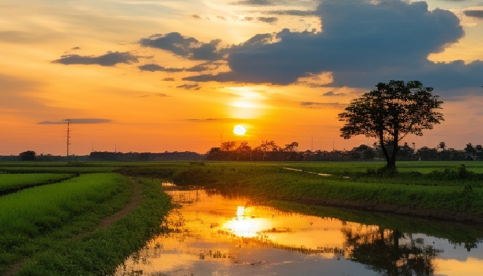 三伏天曬太陽有什么好處 曬太陽的益處-易網<a href=http://www.xllyou.com/ target=_blank class=infotextkey>健康養生</a>網 三伏天曬太陽有什么好處 曬太陽的益處