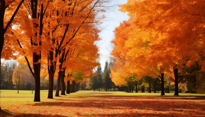 白露節氣晝夜溫差特點是啥 白露晝夜溫差的影響-易網健康<a href=http://www.xllyou.com/jkys/ target=_blank class=infotextkey>養生</a>網 白露節氣晝夜溫差特點是啥 白露晝夜溫差的影響