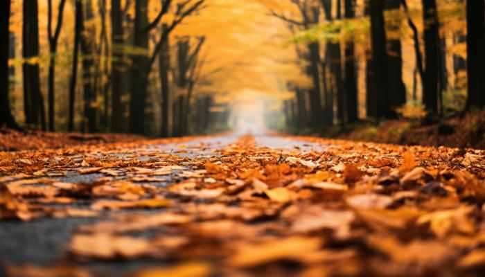 白露節氣晝夜溫差特點是啥 白露晝夜溫差的影響-易網<a href=http://www.xllyou.com/ target=_blank class=infotextkey>健康養生</a>網 白露節氣晝夜溫差特點是啥 白露晝夜溫差的影響