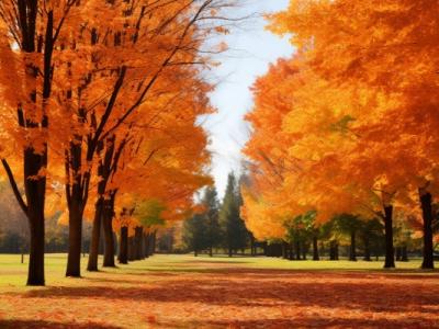 白露節氣晝夜溫差特點是啥 白露晝夜溫差的影響