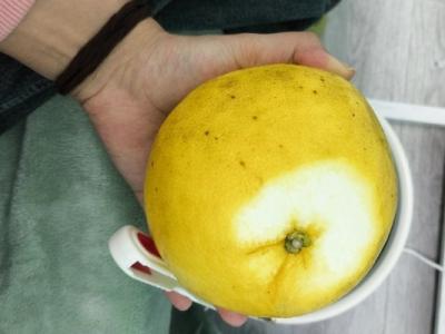 葡萄柚的健康效益有哪些