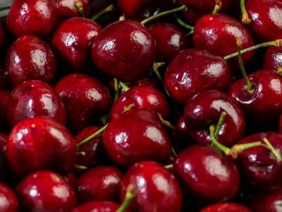 車?yán)遄拥慕】倒πв心男?  style=