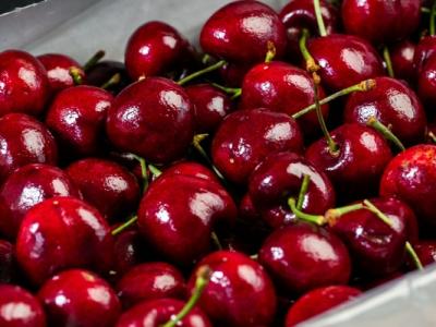 車厘子適合糖尿病患者食用嗎