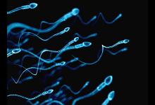 精子健不健康,看這4點就知道了!不用看醫生,在家就能自測