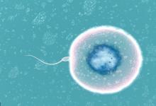 8大影響精子的因素,你知道嗎?