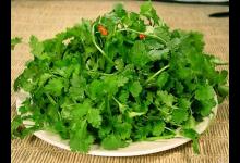 經常吃的護腎6種食物