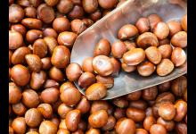 男人腎虛怎么補 吃什么食物好