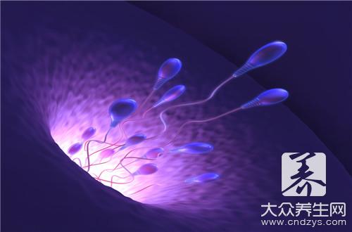 精子和卵子結合肚子會疼嗎? 精子和卵子結合肚子會疼嗎?