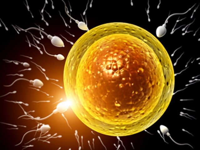 精子好吃 男人的精子女人可以吃嗎 精子好吃 男人的精子女人可以吃嗎