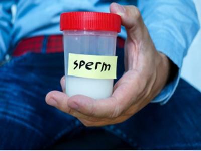 精子的魅力所在 精子存活率低怎么辦