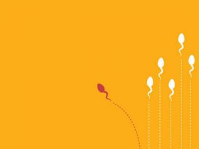 老公不行?精子質量標準用什么來衡量