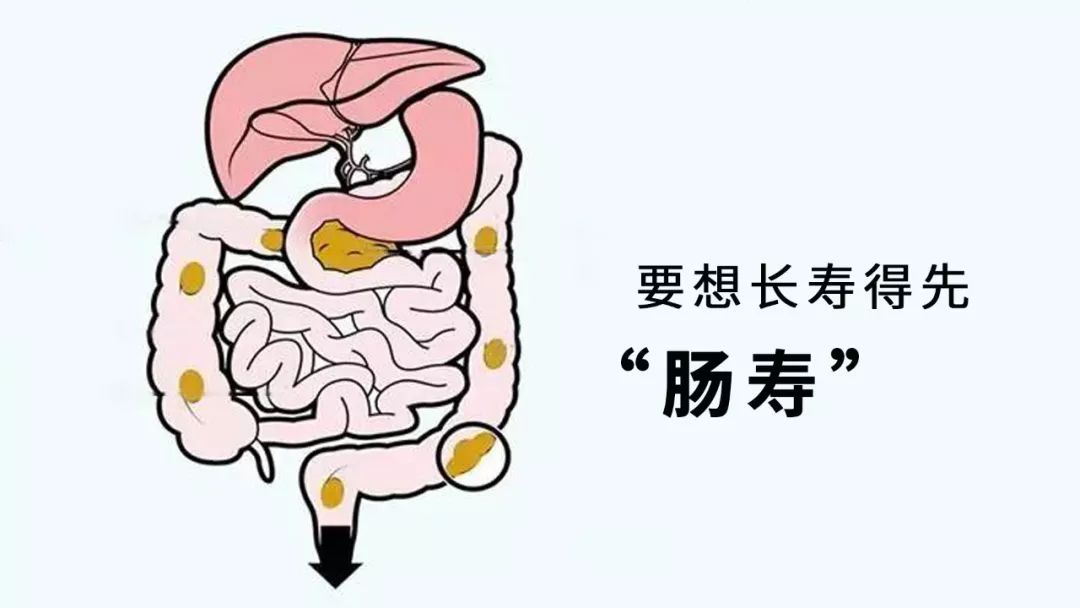 女性補(bǔ)充益生菌雖好,但不要進(jìn)入誤區(qū)-易網(wǎng)健康養(yǎng)生網(wǎng) 女性補(bǔ)充益生菌雖好,但不要進(jìn)入誤區(qū)