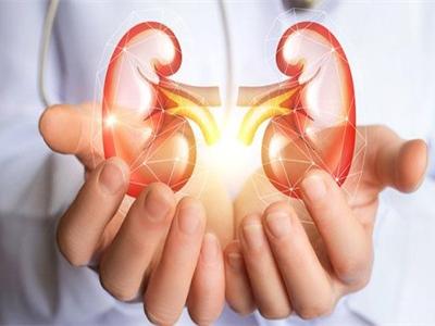 女性腎虛的表現(xiàn),腎虛吃什么食物能補(bǔ)現(xiàn)在知道還不晚