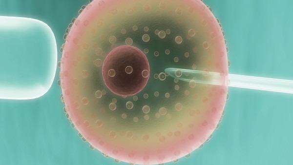 女性卵泡發(fā)育不良怎么辦 應(yīng)對卵泡異常的4個方法-易網(wǎng)健康<a href=http://www.xllyou.com/jkys/ target=_blank class=infotextkey>養(yǎng)生</a>網(wǎng) 女性卵泡發(fā)育不良怎么辦 應(yīng)對卵泡異常的4個方法