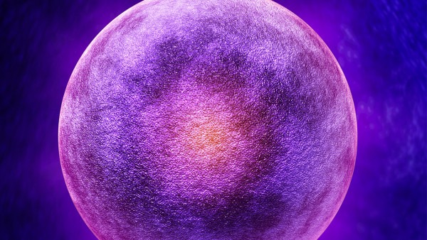 女性卵泡發(fā)育不良怎么辦 應(yīng)對卵泡異常的4個方法-易網(wǎng)健康養(yǎng)生網(wǎng) 女性卵泡發(fā)育不良怎么辦 應(yīng)對卵泡異常的4個方法