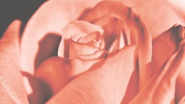 直男必看!實用的表白情話干貨分享-易網健康<a href=http://www.xllyou.com/jkys/ target=_blank class=infotextkey>養生</a>網 直男必看!實用的表白情話干貨分享