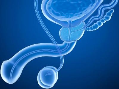 虱病的癥狀都是什么? 三大癥狀說明得了虱病