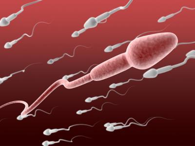 喝啤酒會殺精嗎 啤酒對男性精子有什么影響