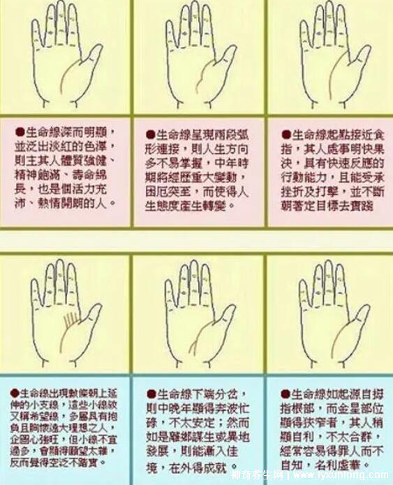 掌紋圖解女右手詳解,女人右手掌紋圖解算命(有財運線大富大貴)-易網健康<a href=http://www.xllyou.com/jkys/ target=_blank class=infotextkey>養生</a>網 掌紋圖解女右手詳解,女人右手掌紋圖解算命(有財運線大富大貴)