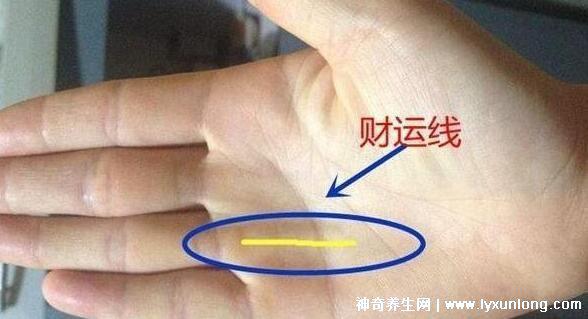 掌紋圖解女右手詳解,女人右手掌紋圖解算命(有財運線大富大貴)-易網健康養生網 掌紋圖解女右手詳解,女人右手掌紋圖解算命(有財運線大富大貴)