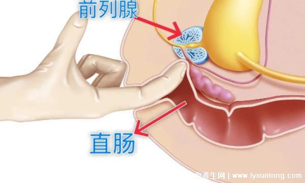 30秒自測前列腺炎,是否出現尿痛/尿頻/尿急(附自測方式)-易網<a href=http://www.xllyou.com/ target=_blank class=infotextkey>健康養生</a>網 30秒自測前列腺炎,是否出現尿痛/尿頻/尿急(附自測方式)