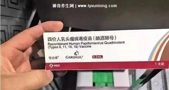 真實宮頸癌的早期出血圖片,接觸性出血是最明顯癥狀(女性必看)-易網健康養生網 真實宮頸癌的早期出血圖片,接觸性出血是最明顯癥狀(女性必看)