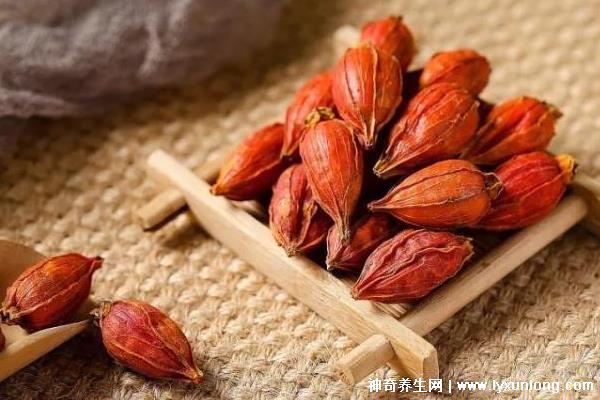 梔子對性功能的影響,適當喝能增強(過量喝會引起腎寒/腎氣虛)-易網(wǎng)健康<a href=http://www.xllyou.com/jkys/ target=_blank class=infotextkey>養(yǎng)生</a>網(wǎng) 梔子對性功能的影響,適當喝能增強(過量喝會引起腎寒/腎氣虛)