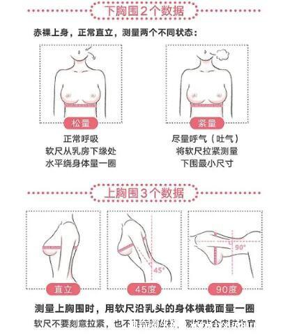 胸圍尺寸尺碼對照表,女生標準罩杯ABCD尺碼表(附測量方法)-易網健康養生網 胸圍尺寸尺碼對照表,女生標準罩杯ABCD尺碼表(附測量方法)