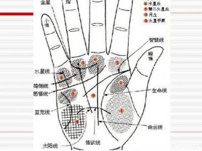 掌紋圖解女右手詳解圖片，事業線到中指根部會有所成就