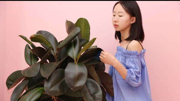 陰毛在性愛中的作用,成熟女性的陰毛特點-易網<a href=http://www.xllyou.com/ target=_blank class=infotextkey>健康養生</a>網 陰毛在性愛中的作用,成熟女性的陰毛特點