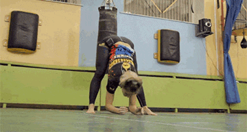 防止跑步肌肉腿！9個動作3分鐘跑完拉伸塑形美腿