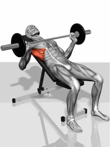 真人版《七龍珠》已上線，54歲健美運動員如何打造龜仙人身材？