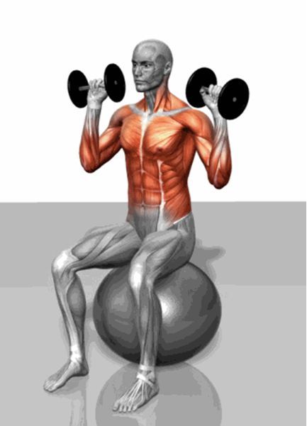 真人版《七龍珠》已上線，54歲健美運動員如何打造龜仙人身材？