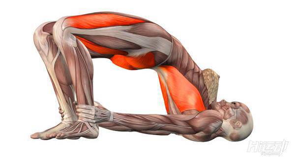 每天一式學(xué)瑜伽：橋式！改善月經(jīng)不適